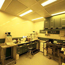 帅安生子感恩回馈现场